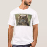 Owl Photo Men's T-Shirt