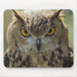 Owl Photo Mouse Pad
