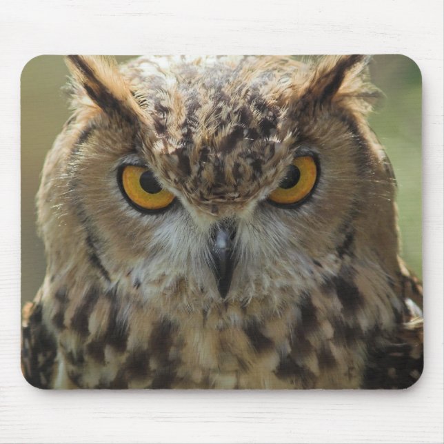 Owl Photo Mouse Pad (Front)
