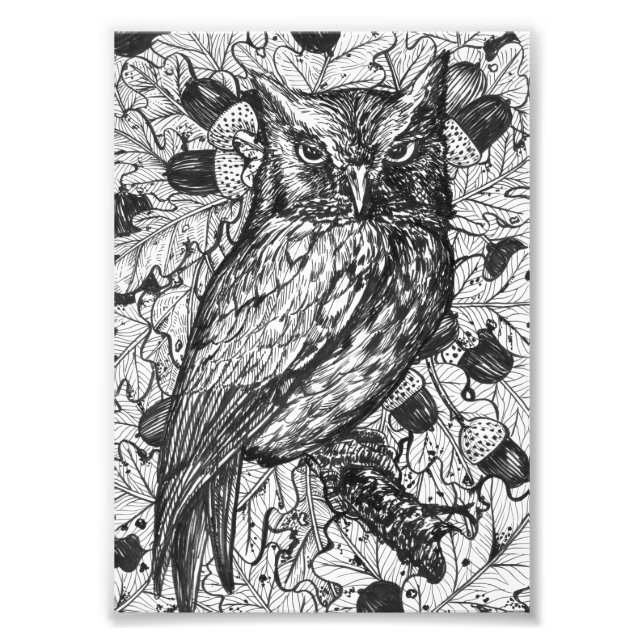 Owl Photo Print (Front)