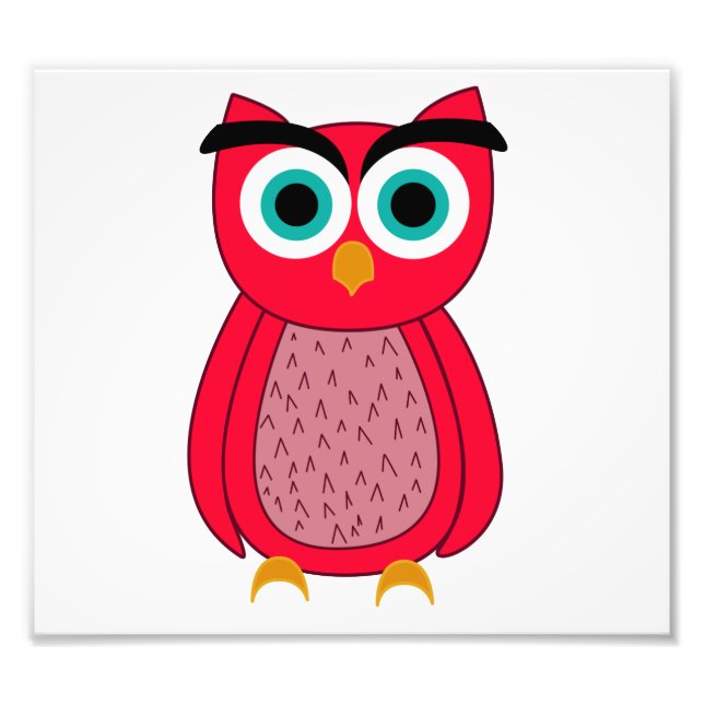 Owl Photo Print (Front)