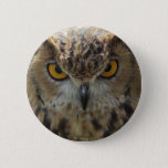 Owl Photo Round Button at Zazzle