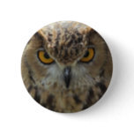 Owl Photo Round Button