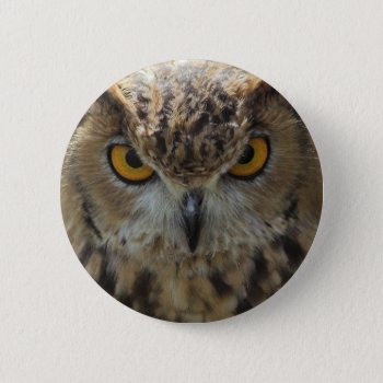 Owl Photo Round Button by WildlifeAnimals at Zazzle