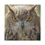 Owl Photo Square Magnet