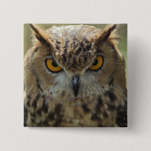 Owl Photo Square Pin