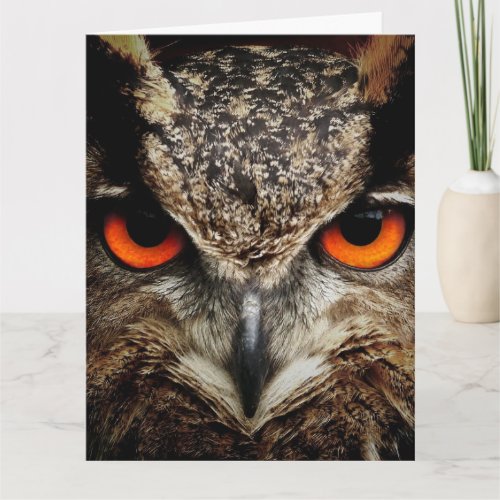 OWL Photography Oversized BIRTHDAY CARD