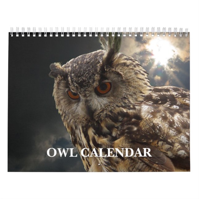 Owl Pictures and Images 2025 Calendar (Cover)