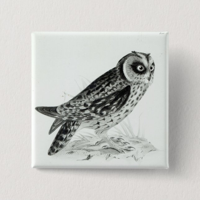 Owl Pinback Button (Front)