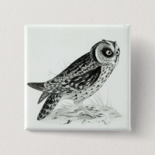 Owl Pinback Button