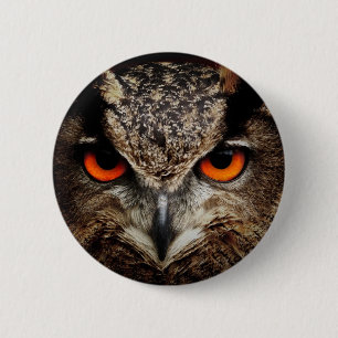 Owl Pinback Button