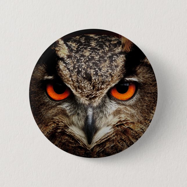 Owl Pinback Button (Front)