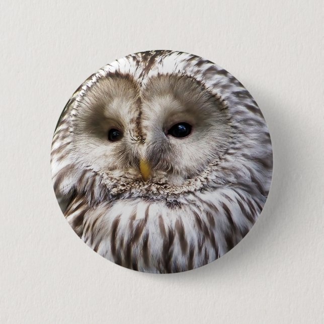 OWL PINBACK BUTTON (Front)