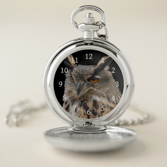 Owl Pocket Watch (Inside)