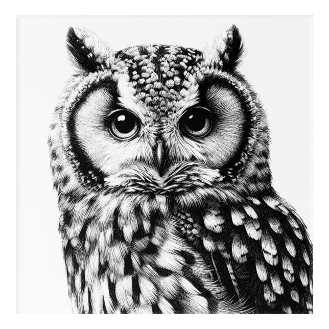 OWL Portrait 10x10" Acrylic Art Print Black Ink (Front)