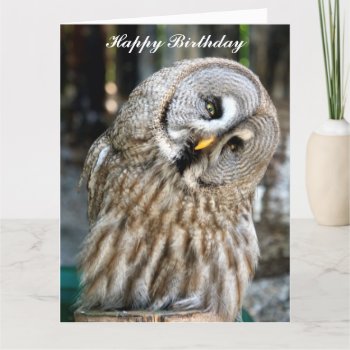 Owl Portrait Beautiful Custom Birthday Card by roughcollie at Zazzle