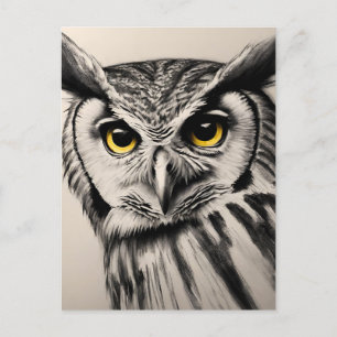 Owl portrait- charcoal sketch postcard