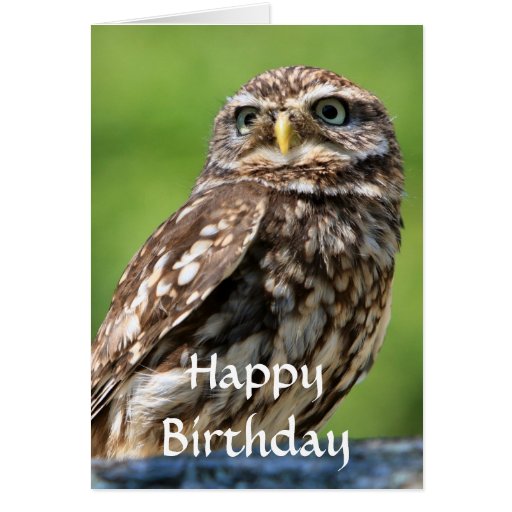 Happy Birthday Owl Cards, Happy Birthday Owl Card Templates, Postage ...