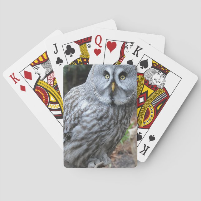 Owl Portrait Photograph Poker Cards (Back)