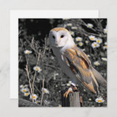Owl Portrait Postcard (Front/Back)