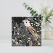 Owl Portrait Postcard (Standing Front)