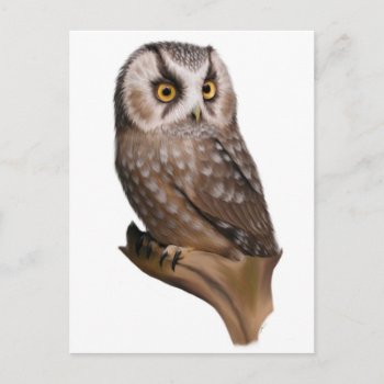 Owl Portrait Postcards by jaisjewels at Zazzle