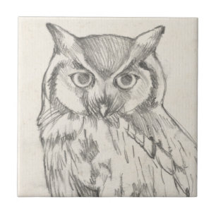 Owl Portrait - Sketch Ceramic Tile