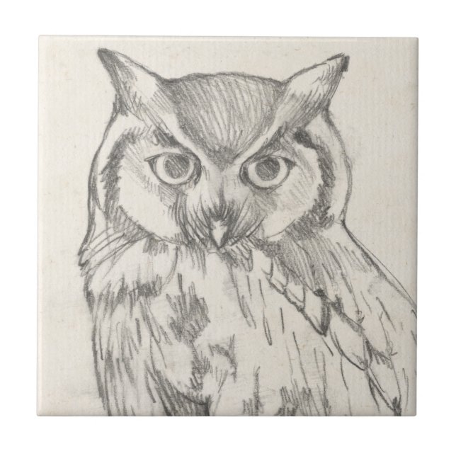 Owl Portrait - Sketch Ceramic Tile (Front)
