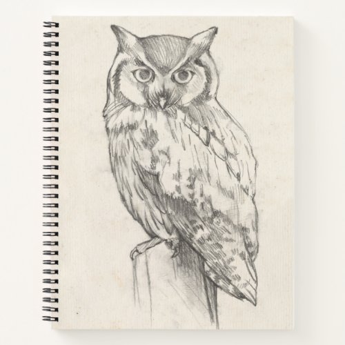 Owl Portrait _ Sketch Notebook