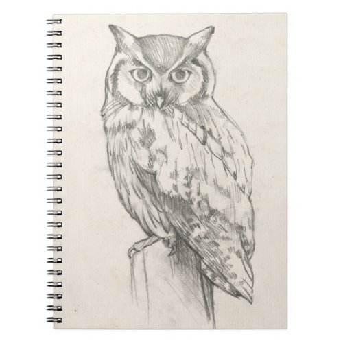 Owl Portrait _ Sketch Notebook