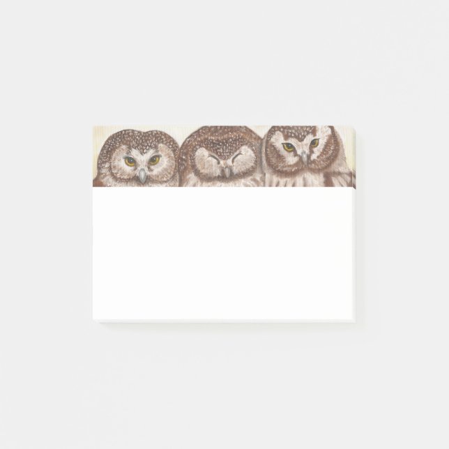 Owl post it note pad (Front)