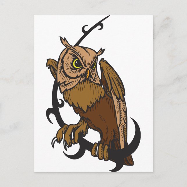 Owl Postcard (Front)