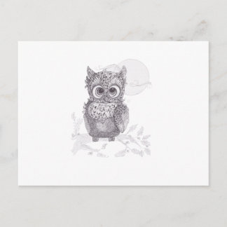 Owl Postcard