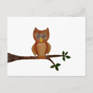 Owl Postcard