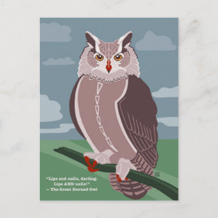Owl Postcard