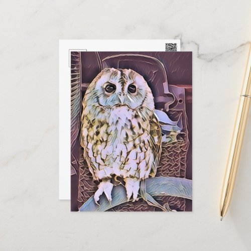 OWL  POSTCARD