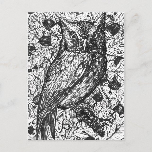 Owl Postcard (Front)