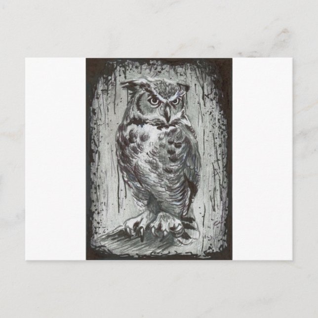 Owl Postcard (Front)