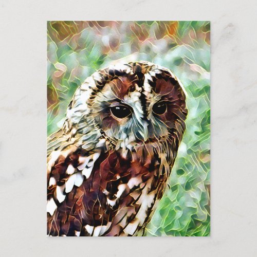 OWL POSTCARD