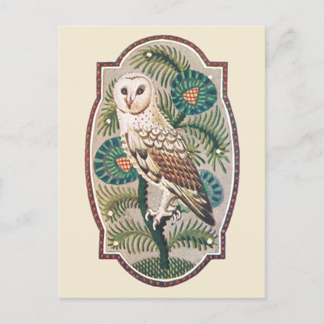 Owl Postcard (Front)