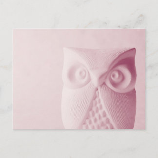 Owl Postcard