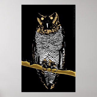 Owl Poster