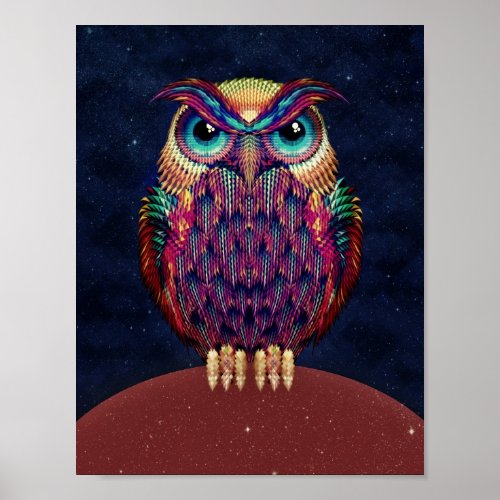 Owl Poster