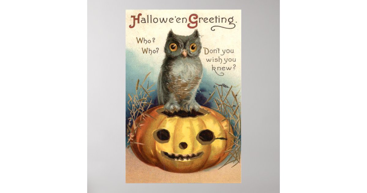 Owl Pumpkin Jack O Lantern Poster | Zazzle
