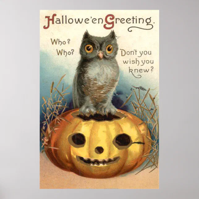 Owl Pumpkin Jack O Lantern Poster | Zazzle