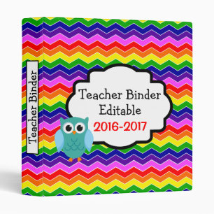 Owl Rainbow Chevron Custom Teacher Binder