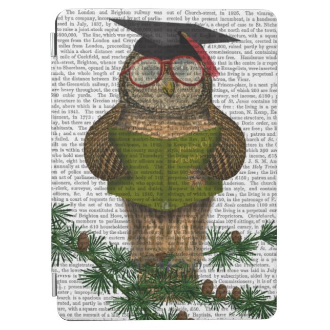 Owl Reading On Branch iPad Air Cover (Front)