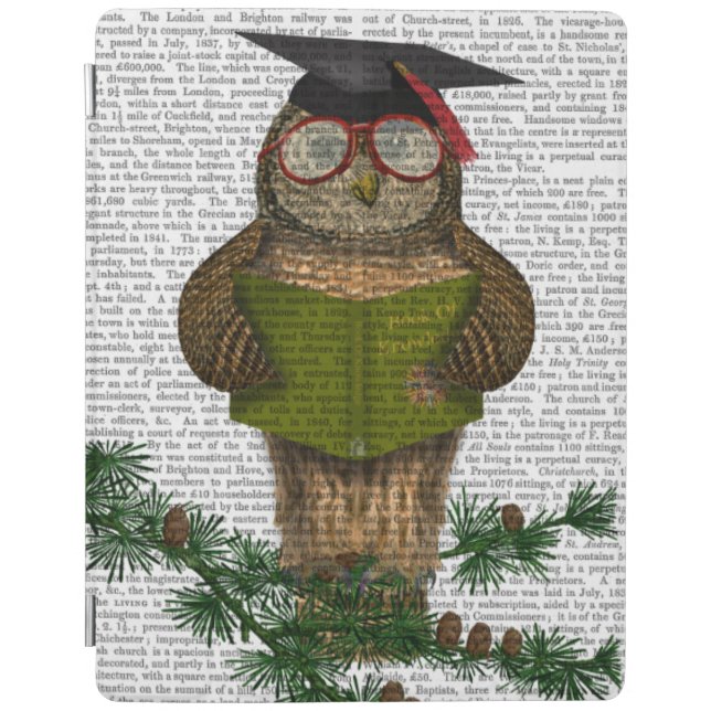Owl Reading On Branch iPad Air Cover (Front)
