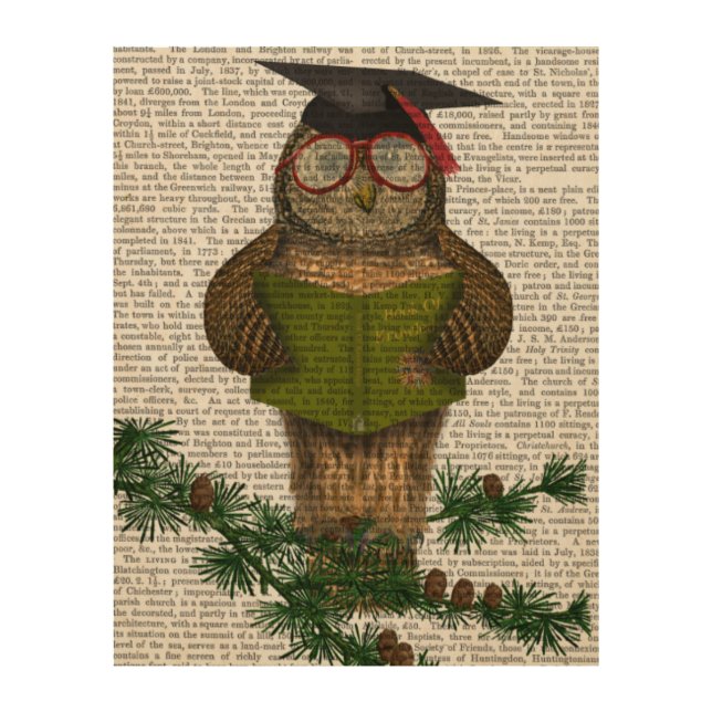 Owl Reading On Branch Wood Wall Art (Front)