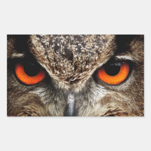 Owl Rectangular Sticker
